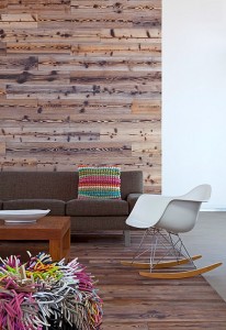 wood-wall-horwitz-residence-by-mnarc